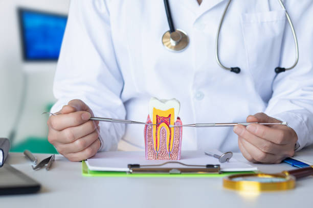 Best Emergency Dentist for Knocked-Out Tooth in Badin, NC